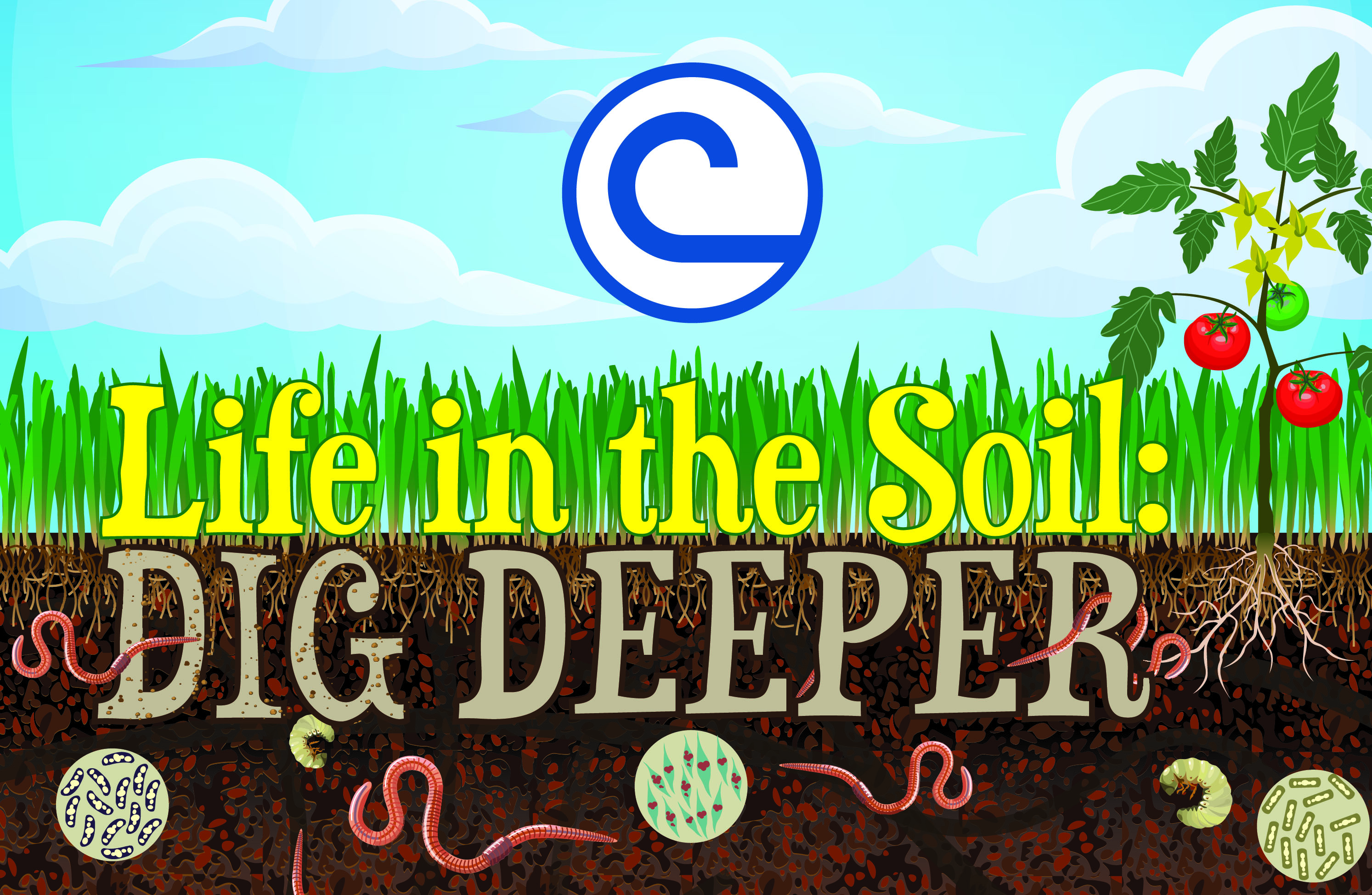 2019 - Life in the Soil: Dig Deeper-image