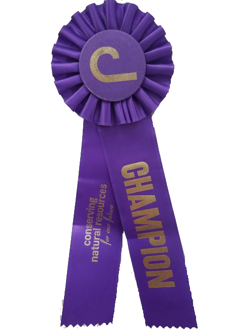 Purple Champion Ribbon-image