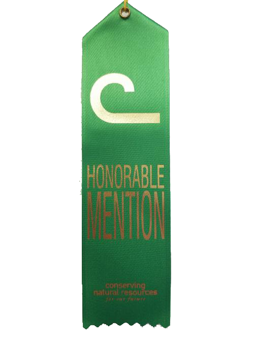Green Honorable Mention Ribbons (Set of 10)-image