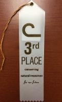 White 3rd Place Ribbons (Set of 10)-image