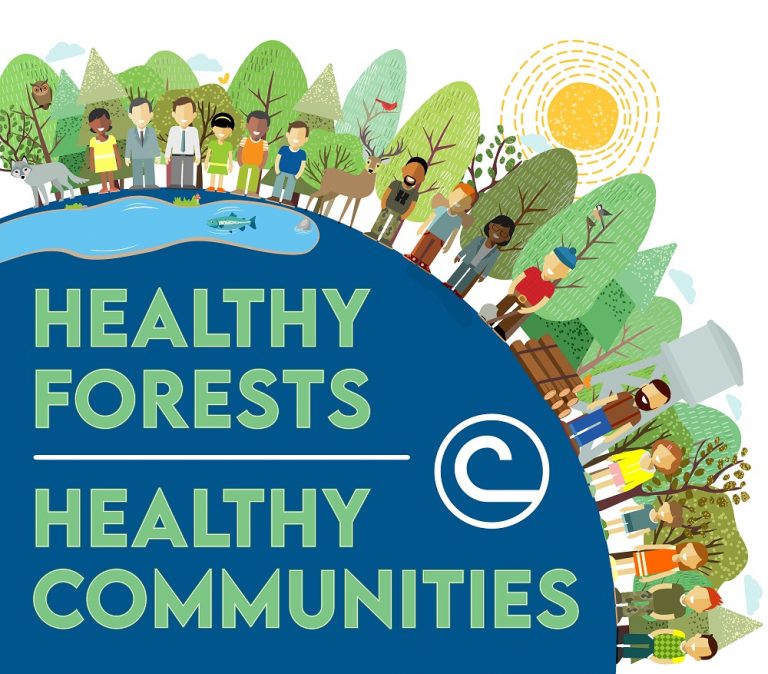 2021 - Healthy Forests = Healthy Communities-image