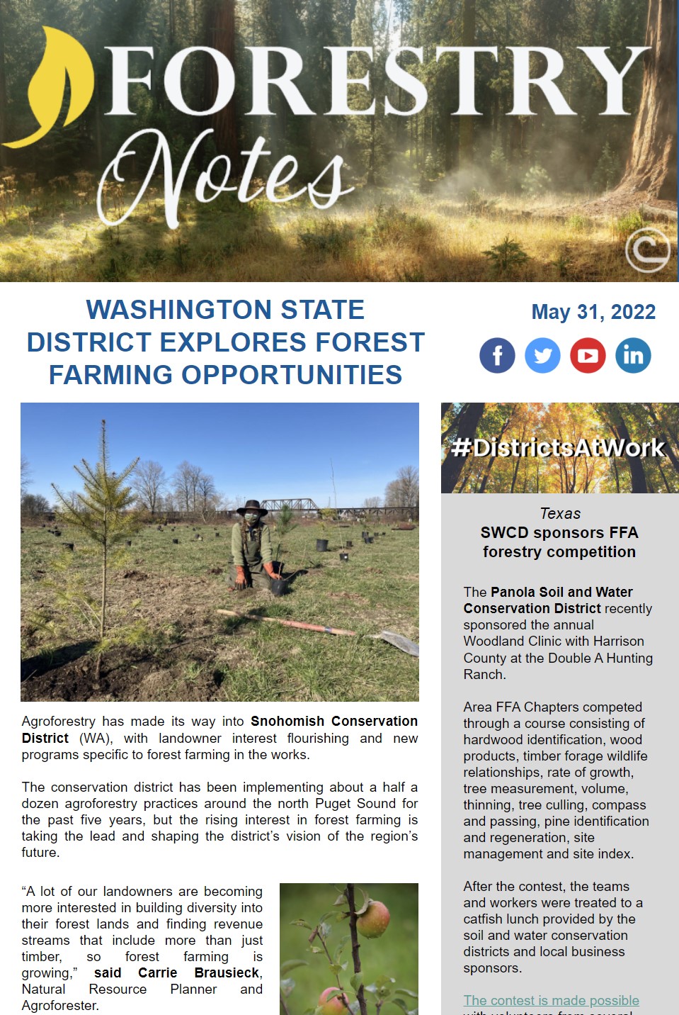 snippet of this month's Forestry Notes newsletter
