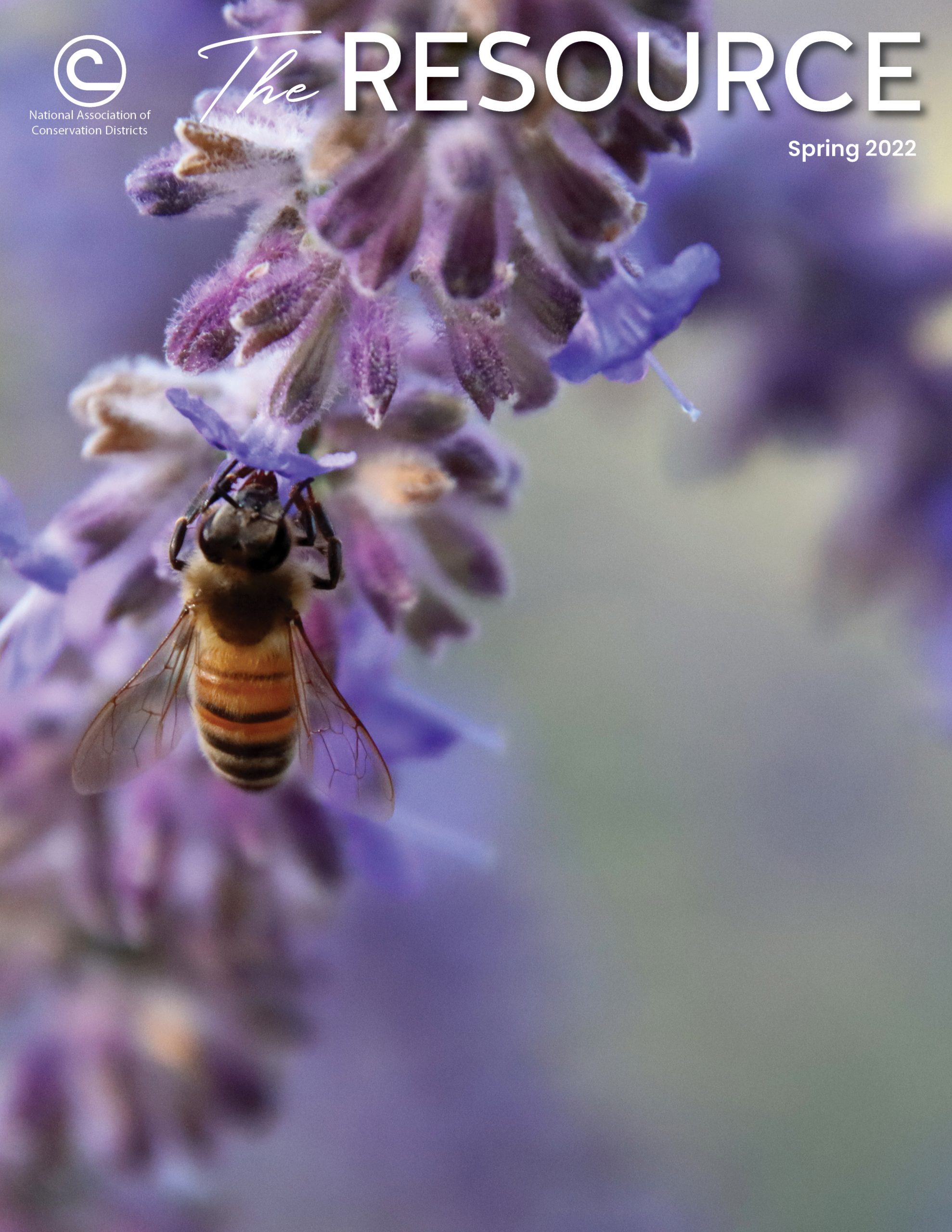 cover of Theimage: close up of a bee on a lavender plant; text: National Association of Conservation Districts The Resource Spring 2022
